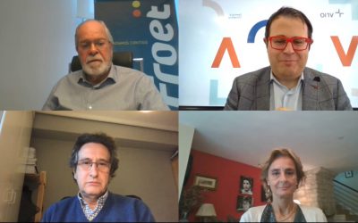 Webinar VRIO: La CETM insiste en la necesidad de prohibir la carga y la descarga por parte del conductor