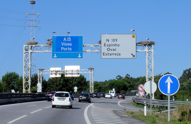 Prohibición de circular a vehículos de más de 3.5 metros de ancho en la A25/IP5 en Portugal