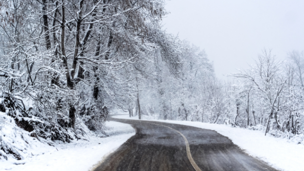 Nevadas