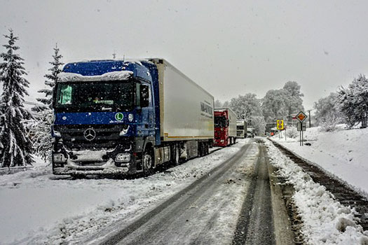 Nevadas