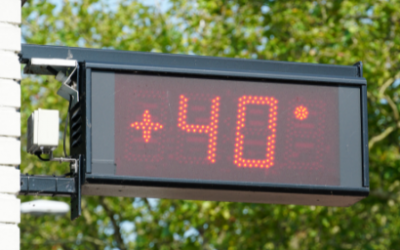 Llega la primera ola de calor del verano con temperaturas que superarán los 40 grados