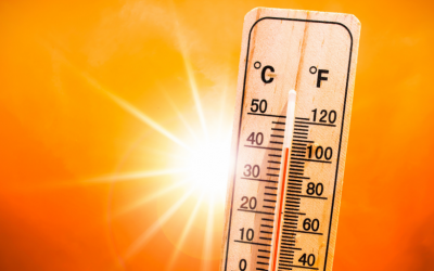 La AEMET alerta de la llegada de un episodio de altas temperaturas