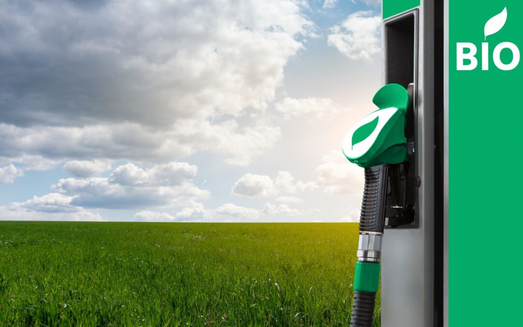 IRU, ESC y Fuels Europe piden a la UE que SE incluya a los ecocombustibles como una solución a la descarbonización