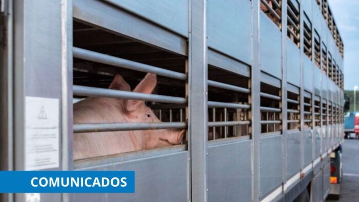 Transporte de animales