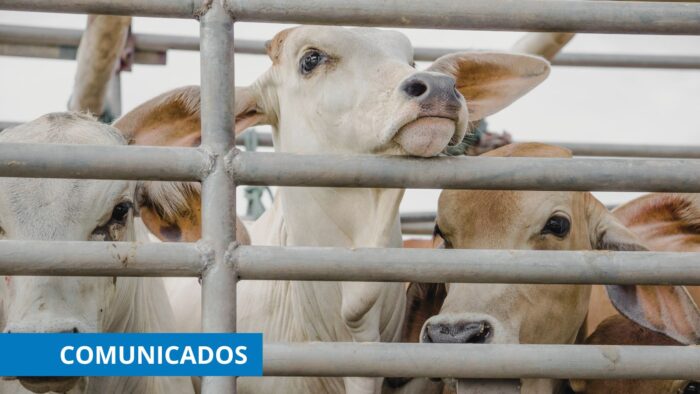 CETM Animales Vivos