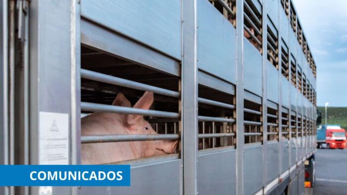 El MAPA confirma a CETM Animales Vivos que sancionará a los organizadores de los viajes en caso de exceso de temperaturas