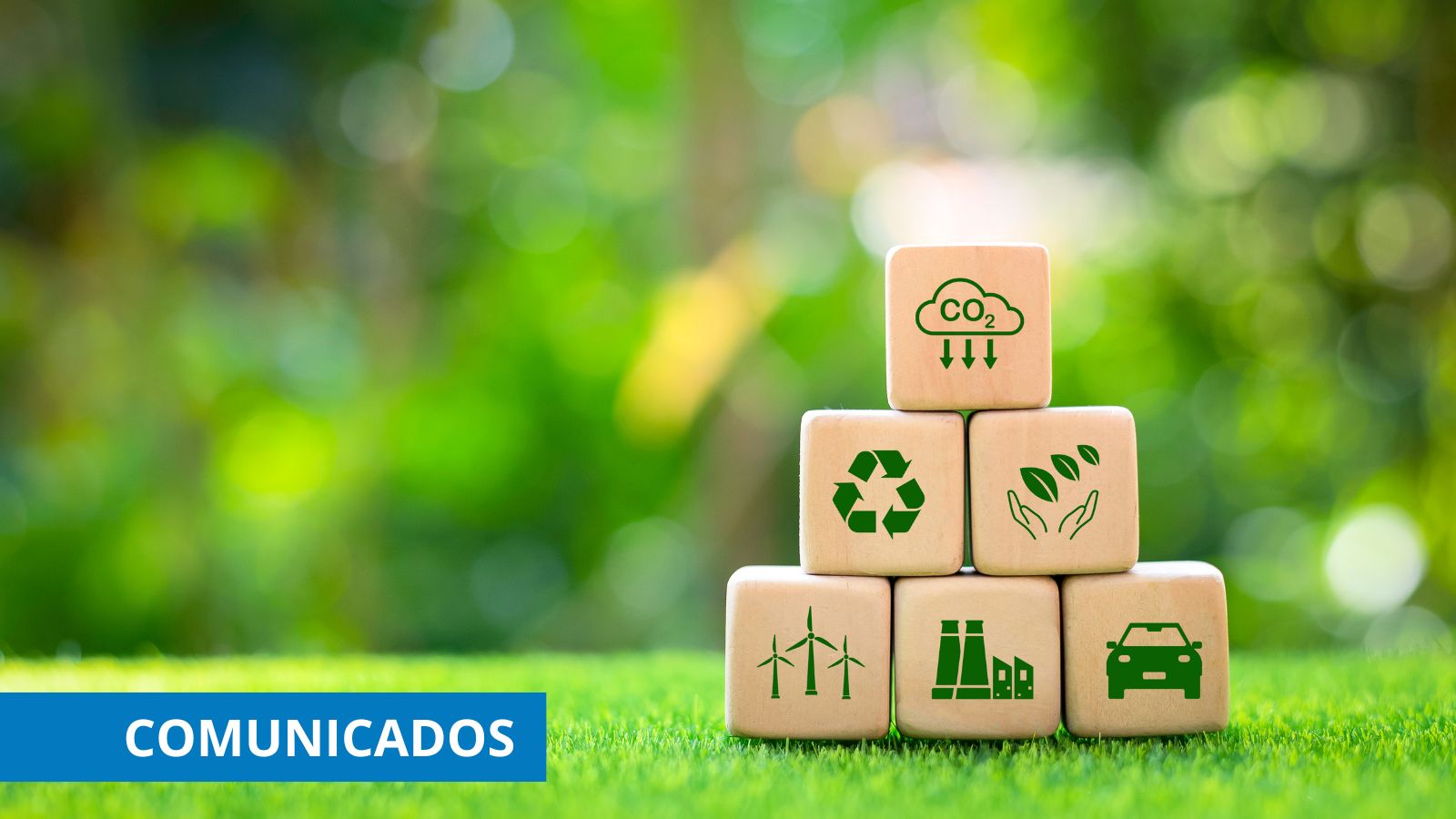 Combustibles renovables