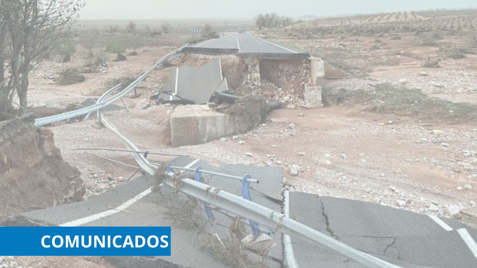 La CETM ha solicitado al Gobierno ayudas específicas para todos los transportistas afectados por la DANA