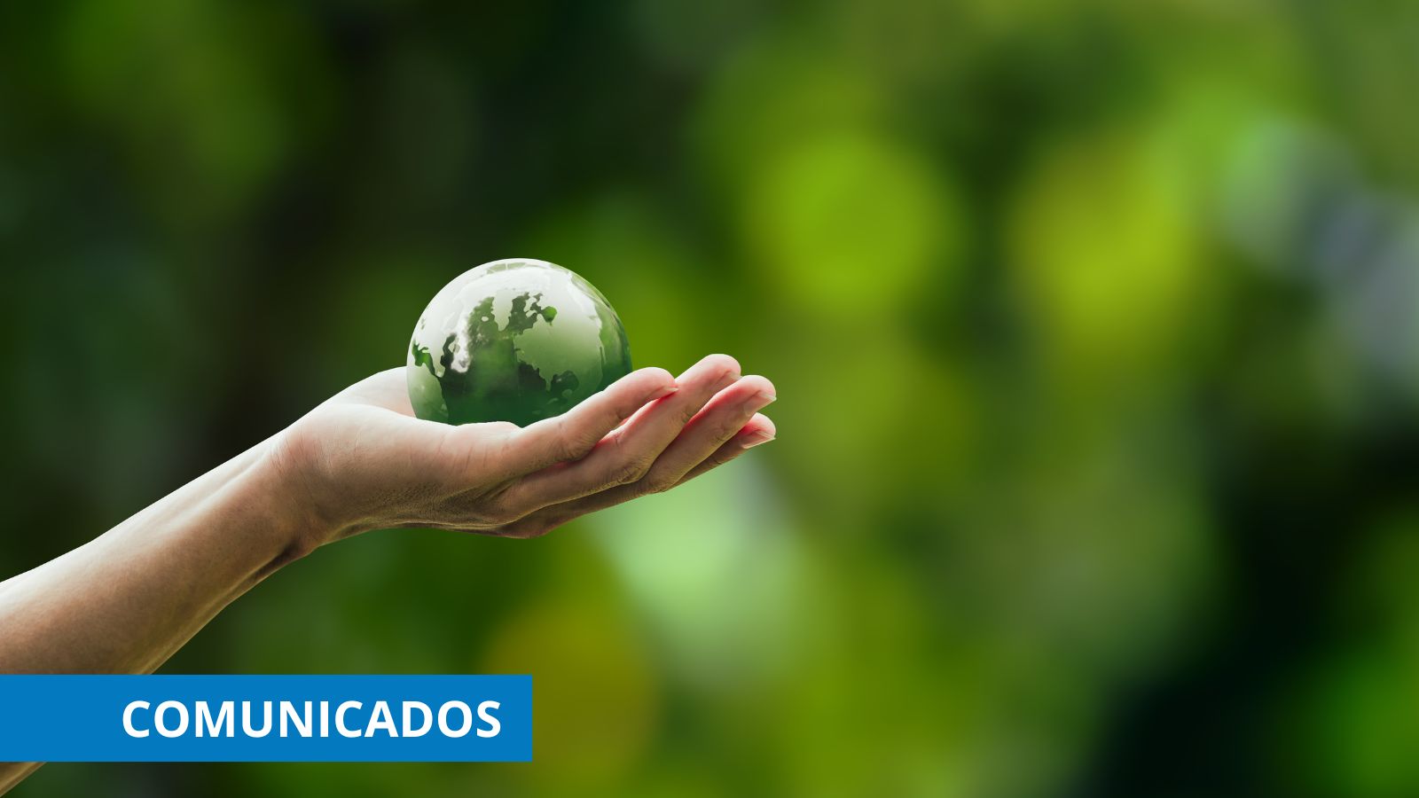 Combustibles renovables