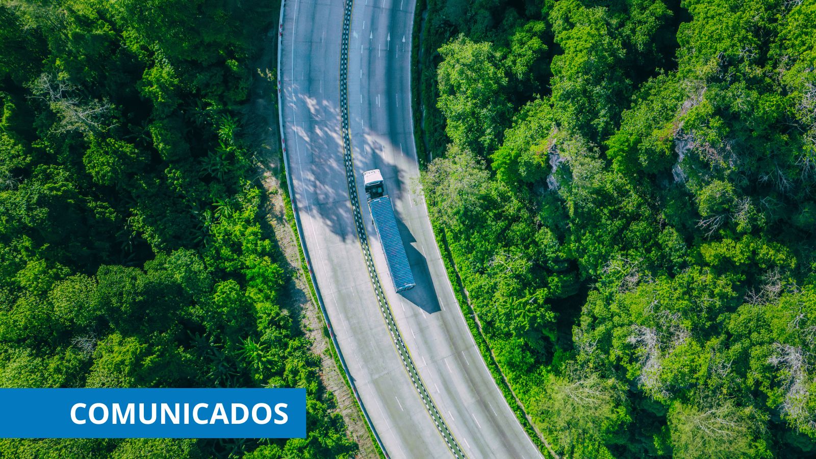 La Plataforma para los Combustibles Renovables cumple cuatro años