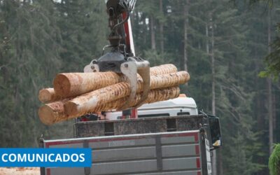 CETM denuncia el abuso de ENCE y exige un trato justo para los transportistas