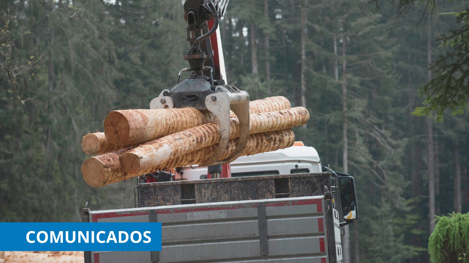 CETM denuncia el abuso de ENCE y exige un trato justo para los transportistas