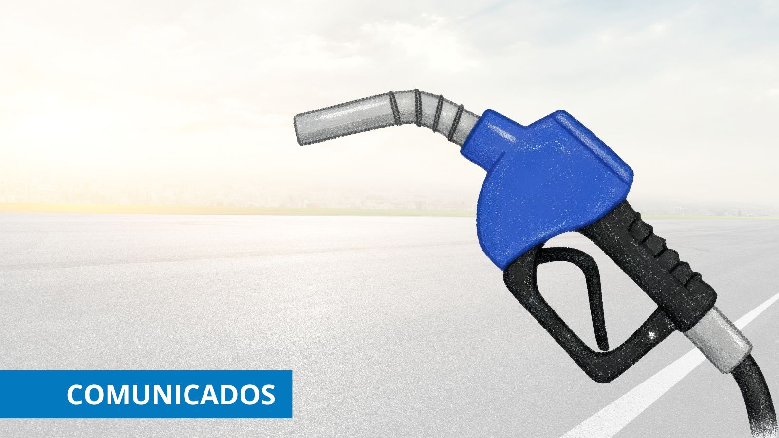 Combustibles