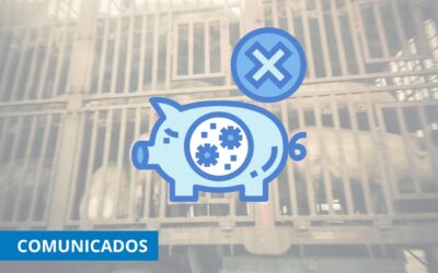 CETM Animales Vivos alerta al sector sobre el impacto de la Peste Porcina Africana e insiste en reforzar la seguridad