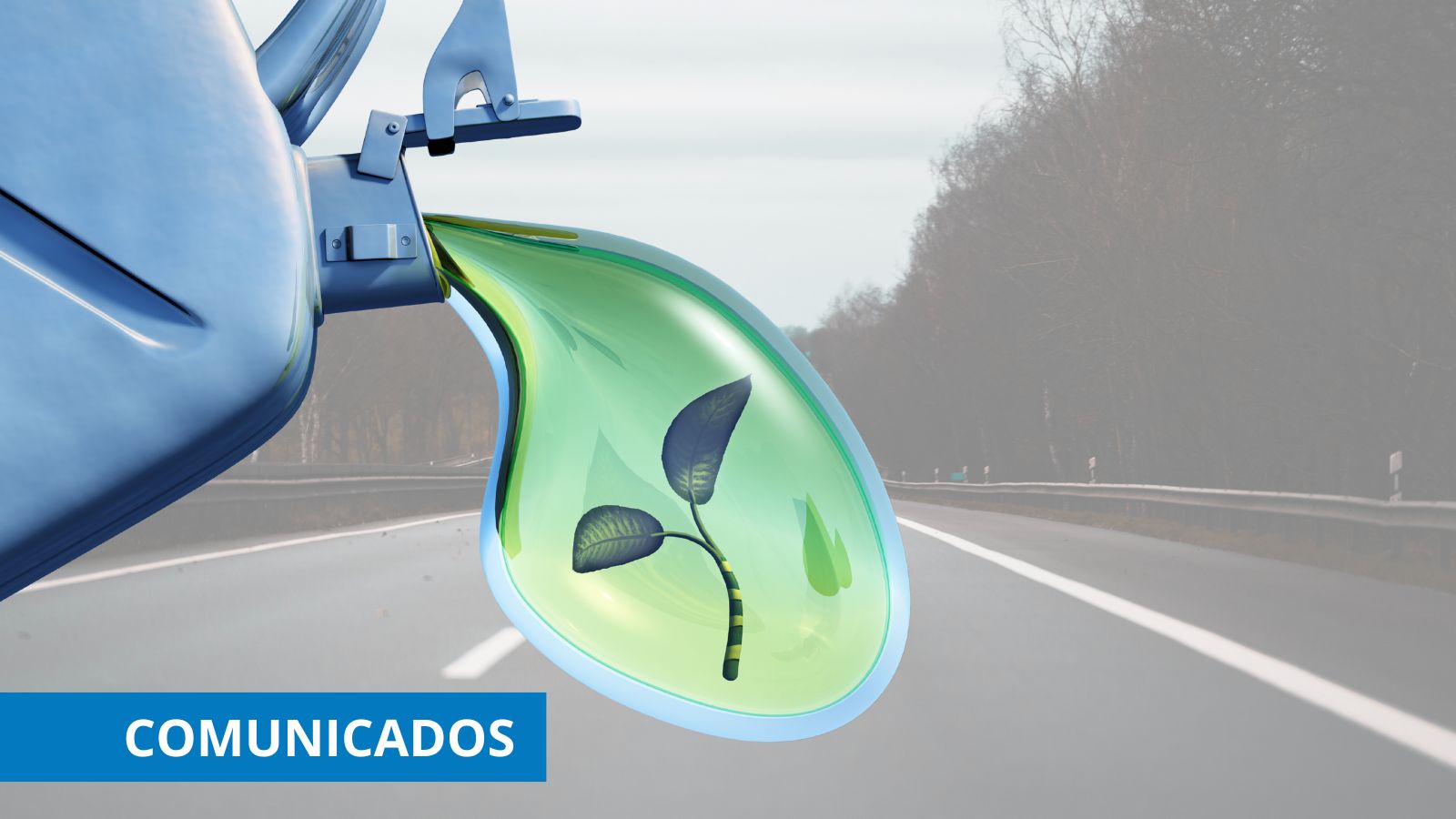 Combustibles renovables