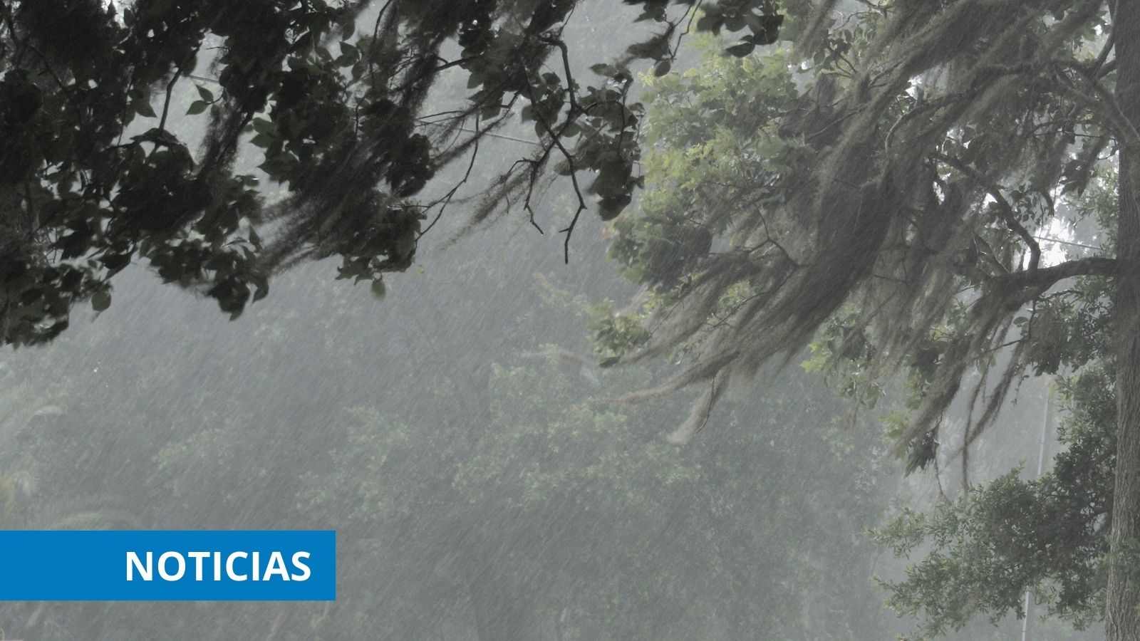 Viento y lluvia