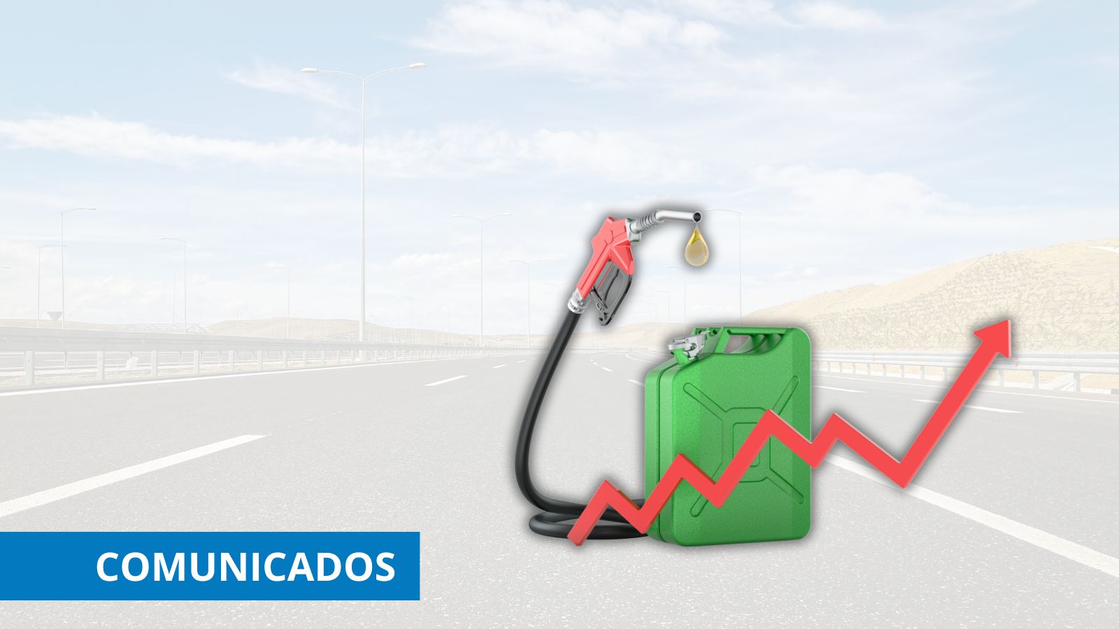Subida precios