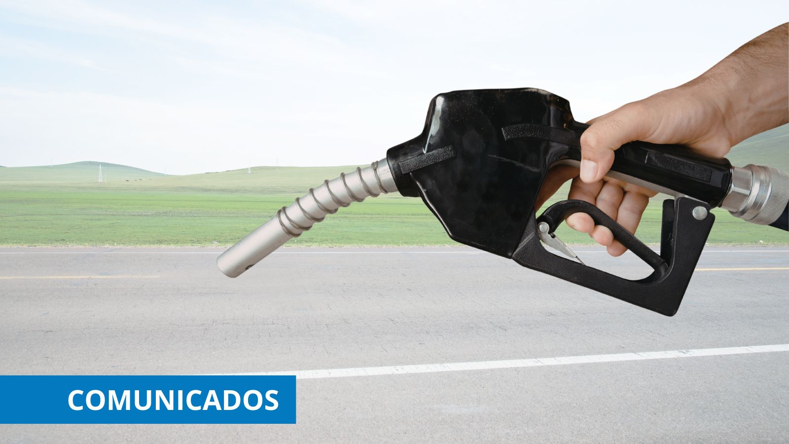 Combustibles