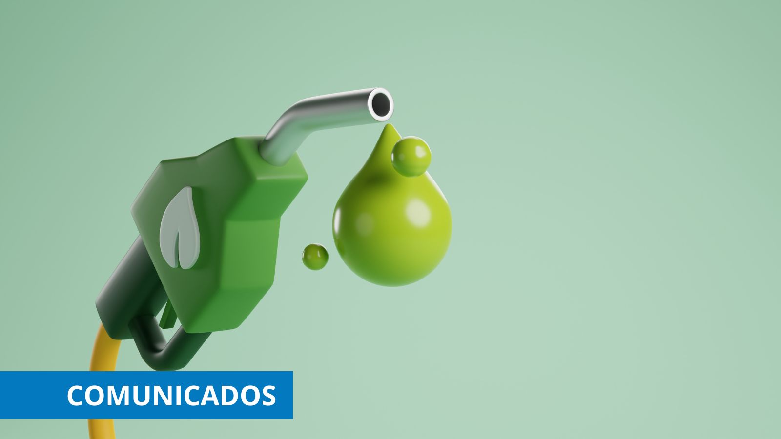 La Plataforma reclama, en su quinto aniversario, integrar los combustibles renovables en todos los modos de transporte